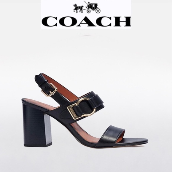 Coach Shoes - NWT Coach Mabel Leather Sandals